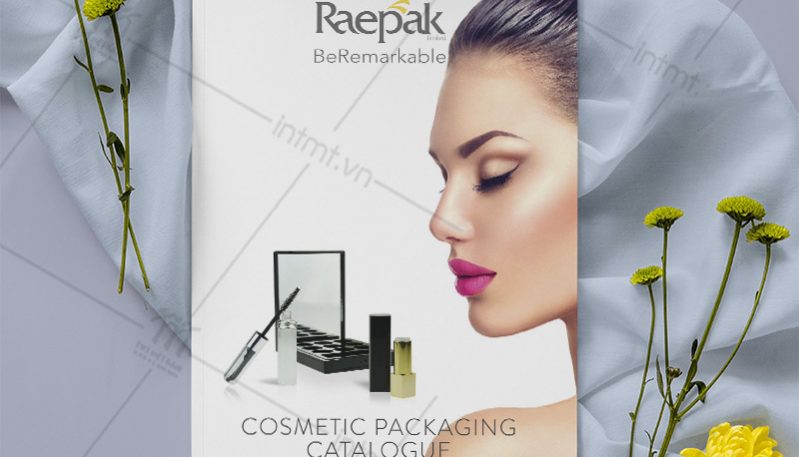 in catalogue giá rẻ 1