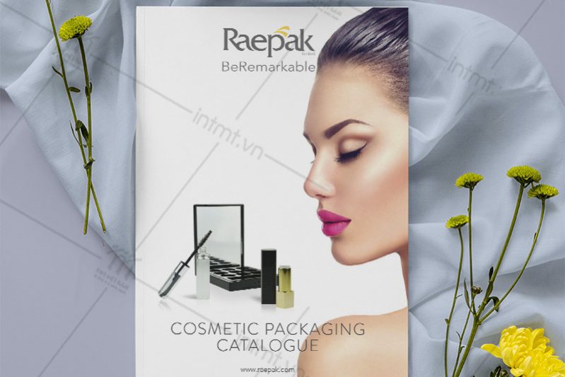 in catalogue giá rẻ 1