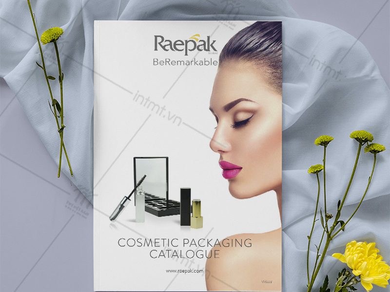 in catalogue giá rẻ 1