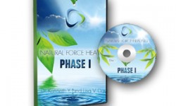 In ấn thiết kế vỏ đĩa, nhãn đĩa In ấn thiết kế vỏ đĩa, nhãn đĩa