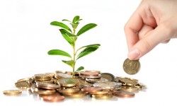 Money and plant.
