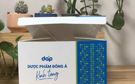 mau-hop-dung-duoc-pham-dong-a-2 mẫu hộp đựng dược phẩm đông á 2