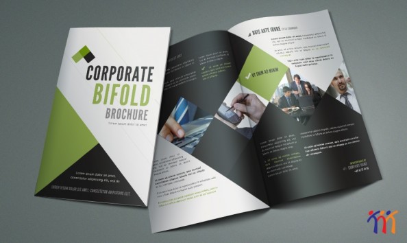 Thiết kế Brochure Thiết kế Brochure