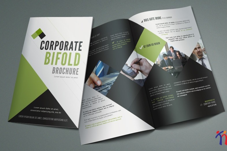 Thiết kế Brochure