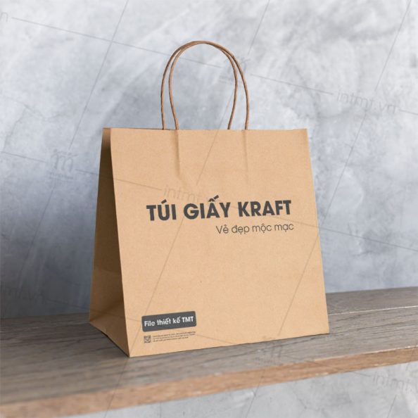 túi giấy kraft tg01