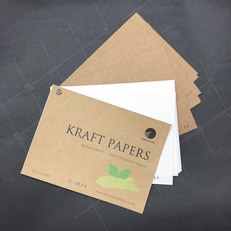 chất liệu giấy Kraft in túi