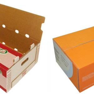 in thùng carton