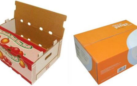 in-thung-carton (2) in thùng carton
