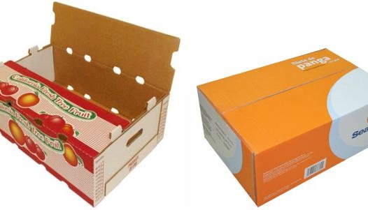 in thùng carton