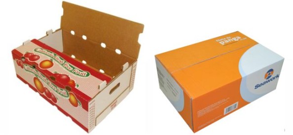 in-thung-carton (2) in thùng carton