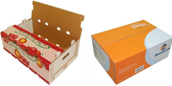 in thùng carton