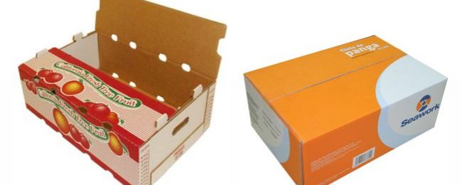 in thùng carton