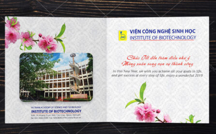 kinh nghiệm in thệp tết kinh nghiệm in thiệp tết