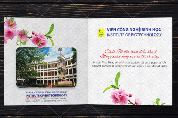 kinh nghiệm in thệp tết kinh nghiệm in thiệp tết