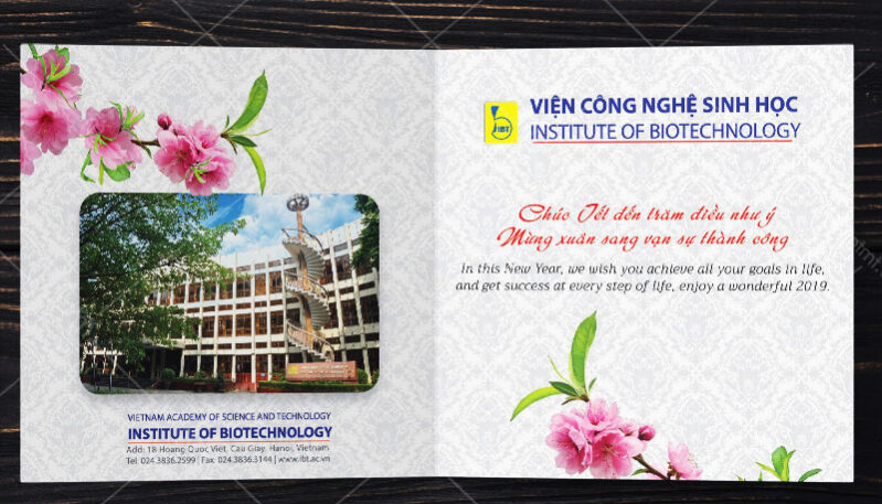 kinh nghiệm in thệp tết kinh nghiệm in thiệp tết