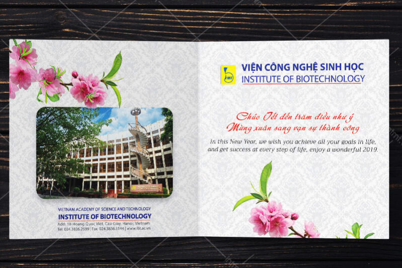 kinh nghiệm in thiệp tết