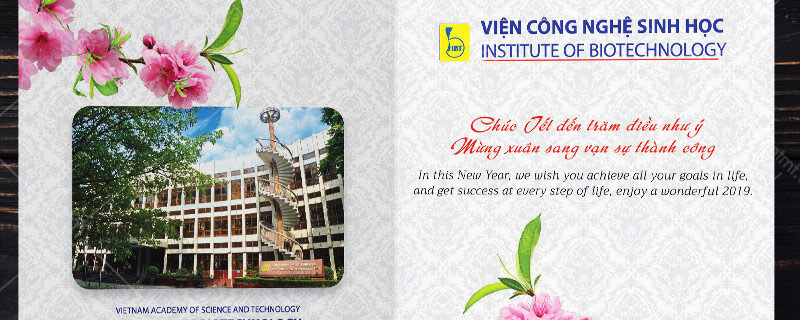 kinh nghiệm in thệp tết kinh nghiệm in thiệp tết