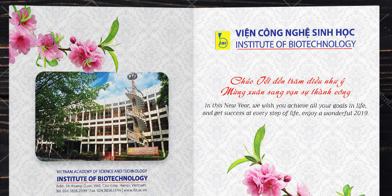 kinh nghiệm in thiệp tết
