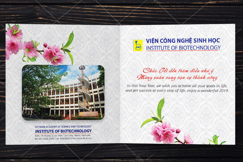 kinh nghiệm in thệp tết kinh nghiệm in thiệp tết