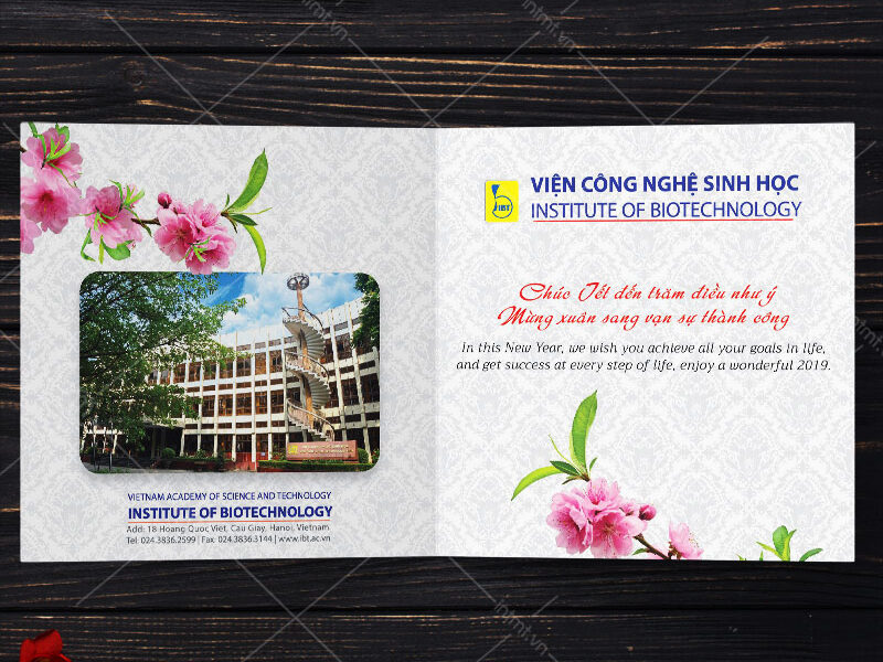 kinh nghiệm in thệp tết kinh nghiệm in thiệp tết