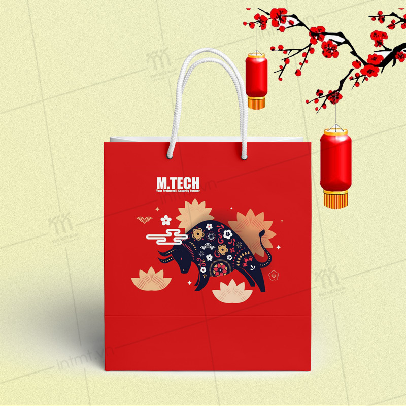túi giấy đựng quà tết TG22