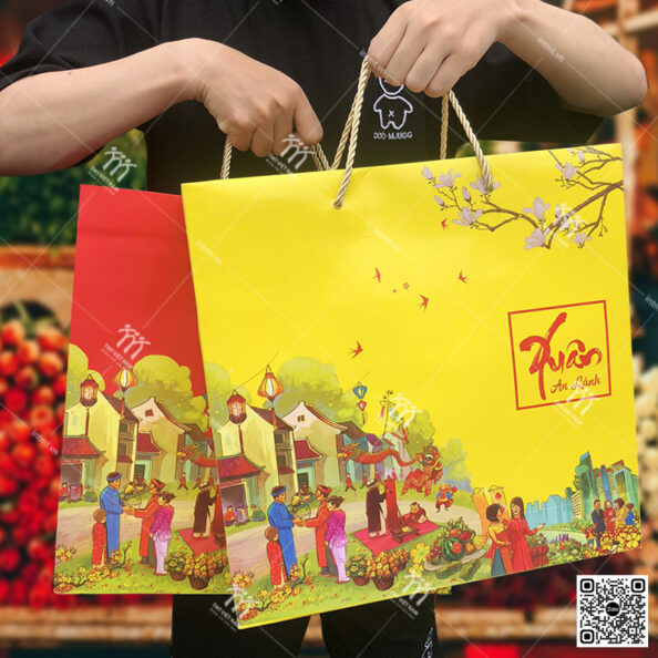 Túi giấy đựng quà tết TG22