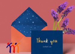 mẫu phong bì đựng thiệp cảm ơn