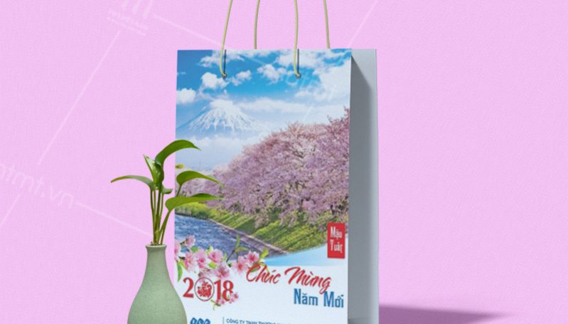 mẫu túi giấy đựng lịch tết để bàn 7