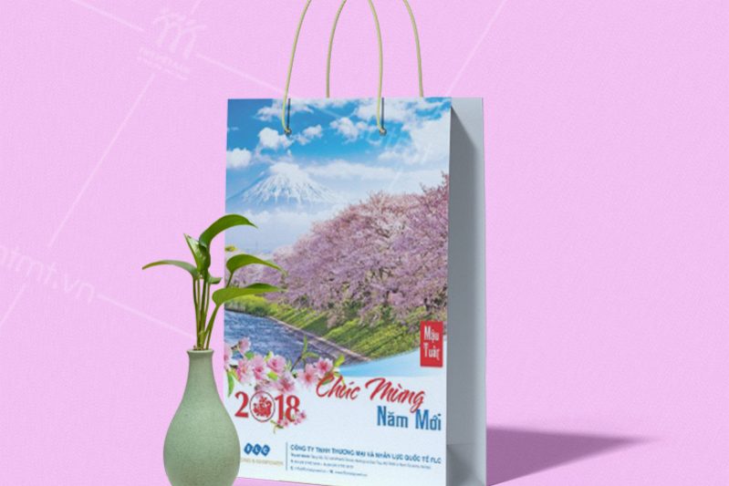 mẫu túi giấy đựng lịch tết để bàn 7