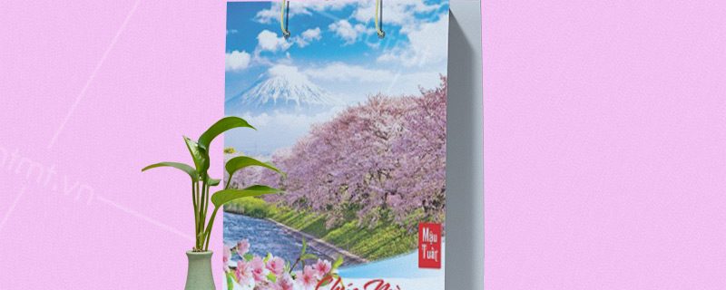 mẫu túi giấy đựng lịch tết để bàn 7