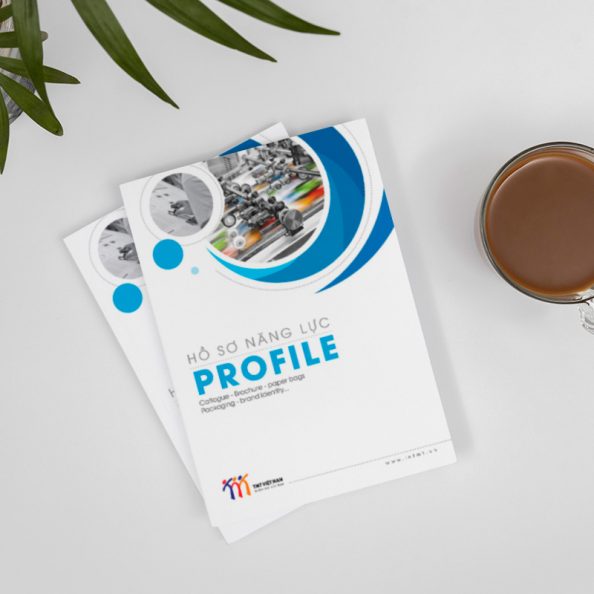 in-catalogue-cong-ty-tmt-1 catalogue doanh nghiệp TMT 1