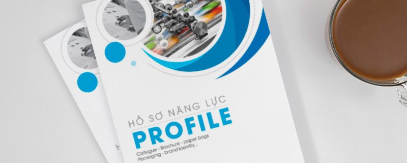 in-catalogue-cong-ty-tmt-1 catalogue doanh nghiệp TMT 1