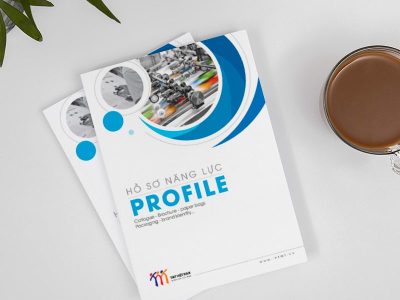 catalogue doanh nghiệp TMT 1