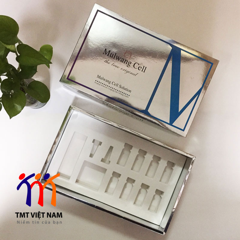 Hộp giấy tráng kim size lớn