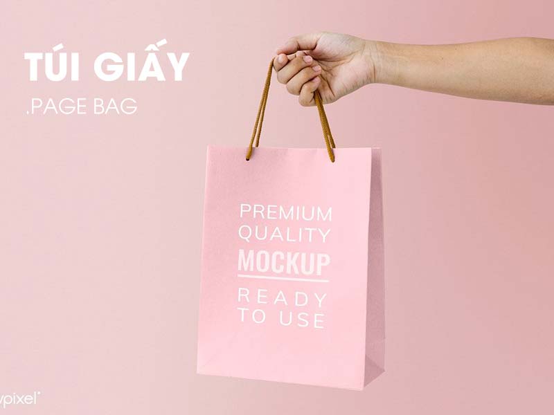 túi giấy là gì? tại sao cần in túi giấy?