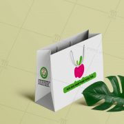 túi giấy đựng hoa quả TG16