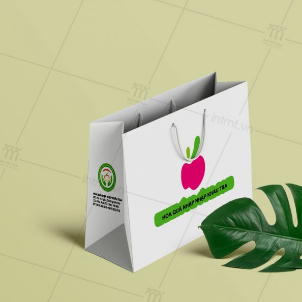 túi giấy đựng hoa quả TG16