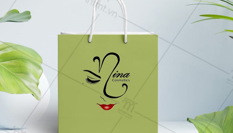 mẫu túi giấy đựng mỹ phẩm 7