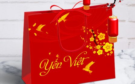 tui-giay-dung-yen-sao-dep in túi giấy đựng yến sào đẹp