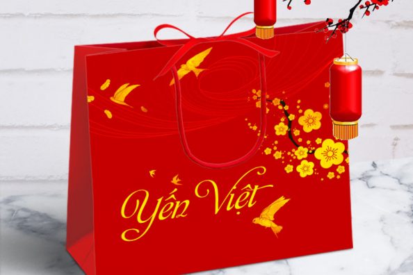 tui-giay-dung-yen-sao-dep in túi giấy đựng yến sào đẹp