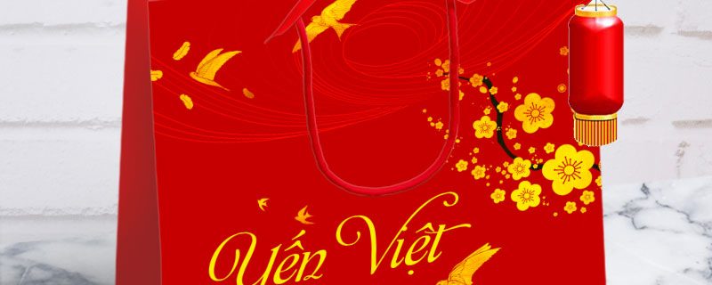 tui-giay-dung-yen-sao-dep in túi giấy đựng yến sào đẹp