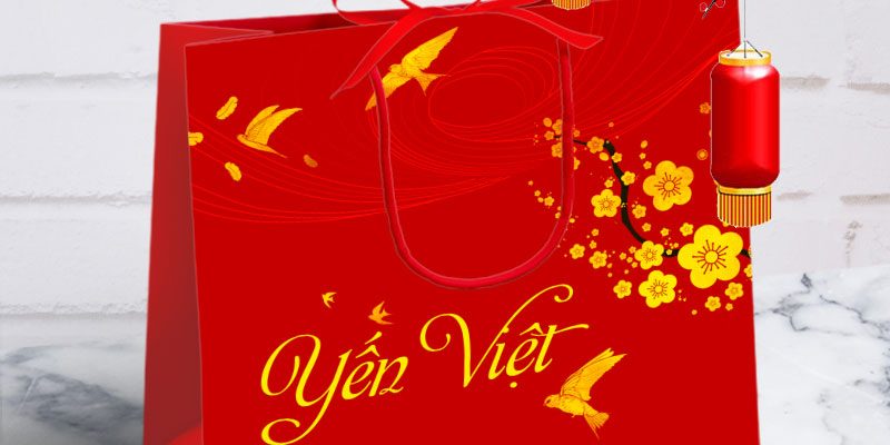 in túi giấy đựng yến sào đẹp