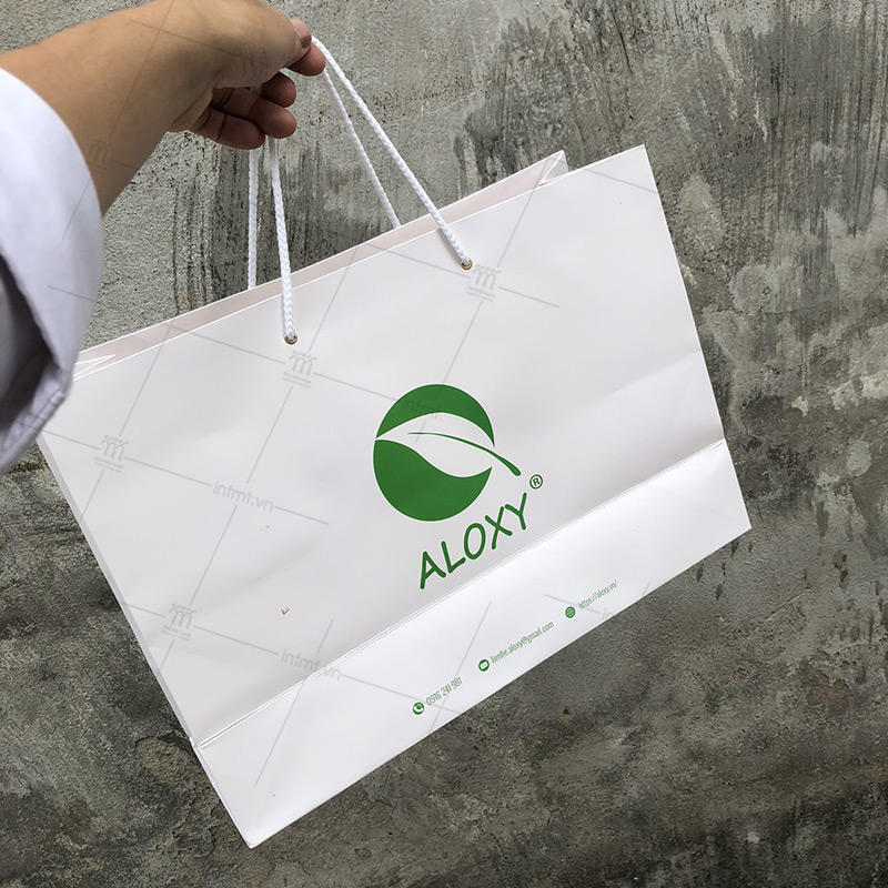 mẫu túi giấy đựng quà Aloxy