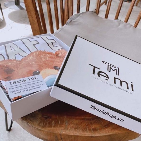 hop-temi-ctl42 (1) hộp đựng quần áo Temi CTL42