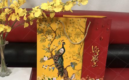 tui-giay-dung-qua-tet-in-san-thuc-te-1 mẫu túi giây đựng quà tết ảnh thực tế 1