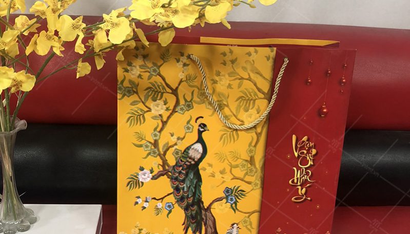 tui-giay-dung-qua-tet-in-san-thuc-te-1 mẫu túi giây đựng quà tết ảnh thực tế 1