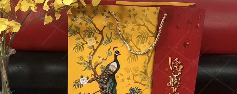 mẫu túi giây đựng quà tết ảnh thực tế 1