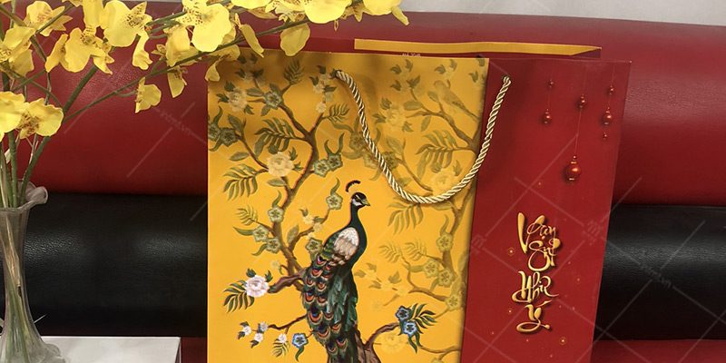 tui-giay-dung-qua-tet-in-san-thuc-te-1 mẫu túi giây đựng quà tết ảnh thực tế 1