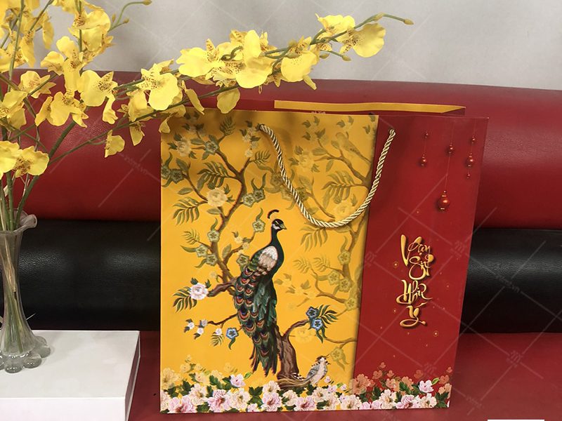 mẫu túi giây đựng quà tết ảnh thực tế 1