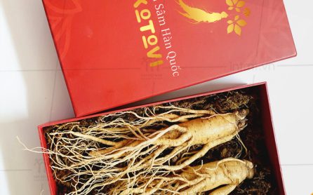 hop-dung-nhan-sam-nguyen-cu Mẫu hộp đựng nhân sâm nguyên củ